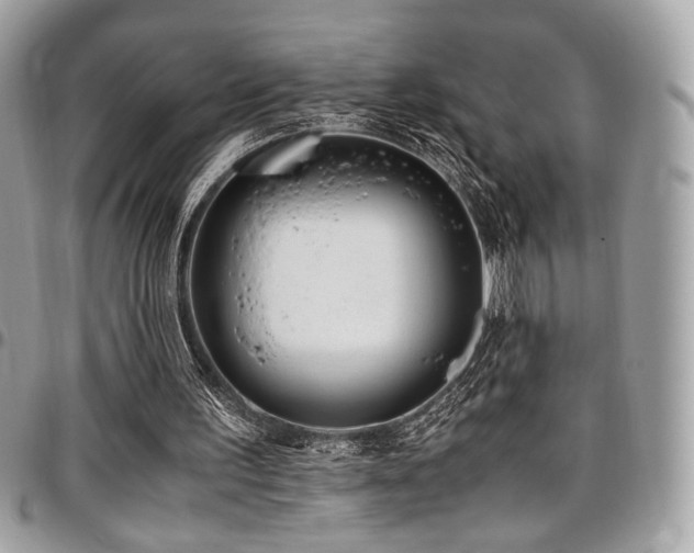 X0000097300195200802151446