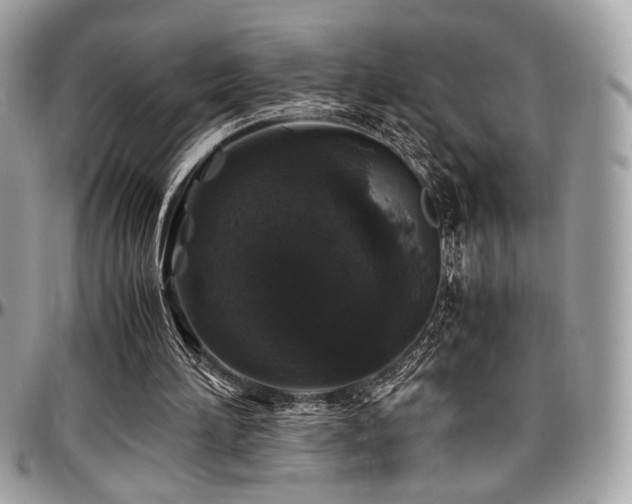 X0000097300196200802151446