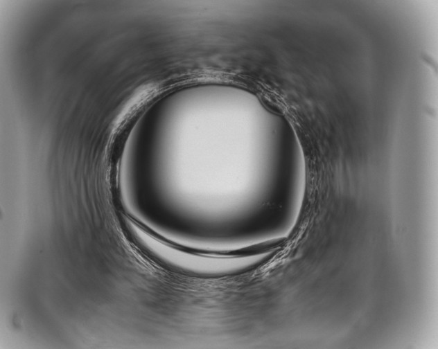 X0000097300197200802151446