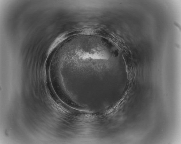 X0000097300198200802151446