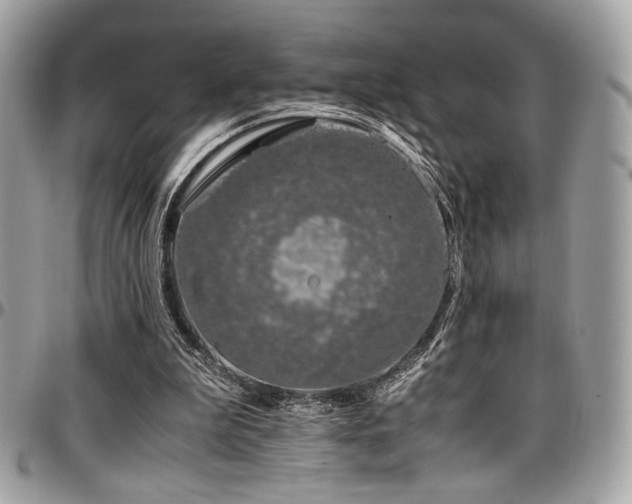 X0000097300199200802151446