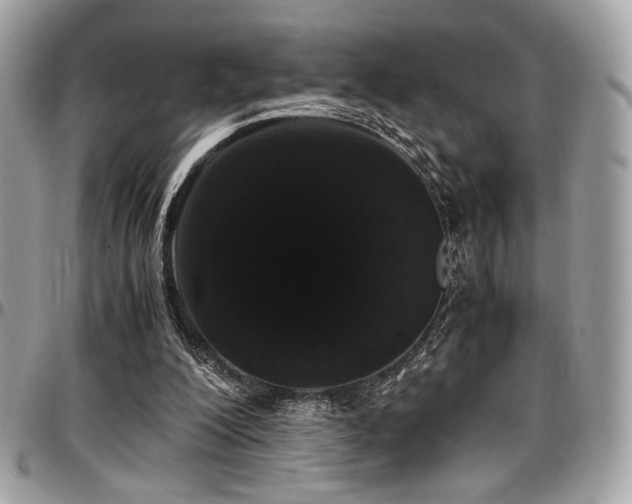 X0000097300200200802151446