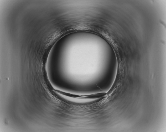 X0000097300201200802151446