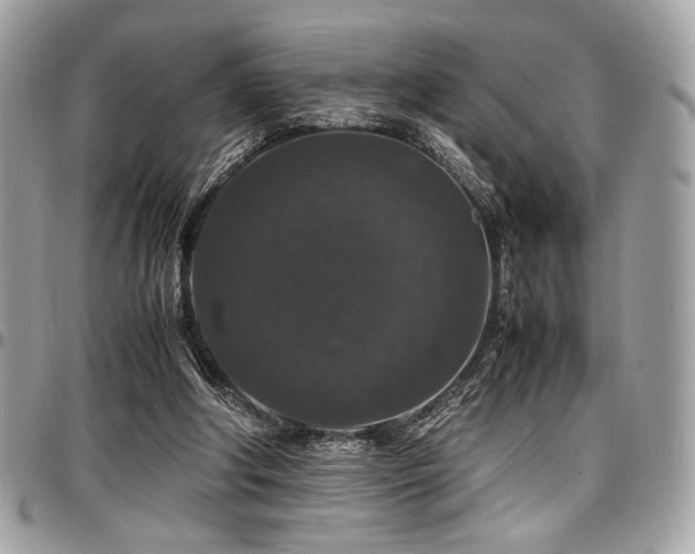 X0000097300202200802151446