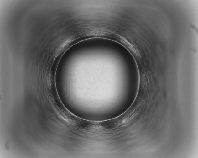 X0000097300203200802151446