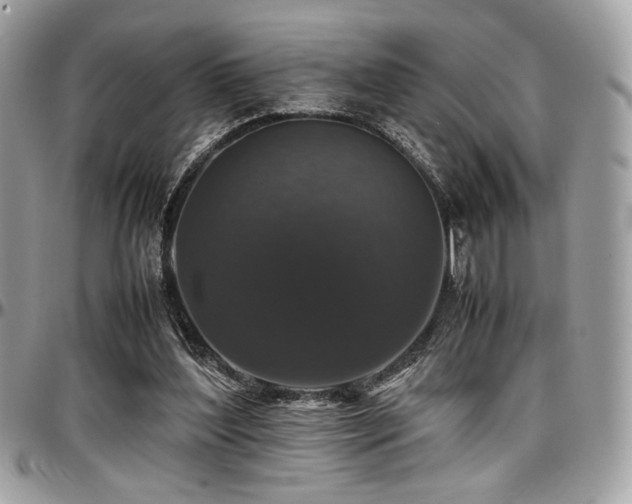 X0000097300204200802151446