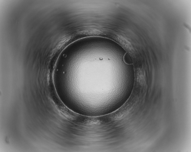 X0000097300206200802151446
