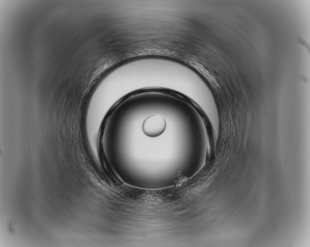 X0000097300207200802151446