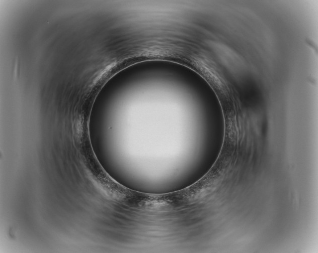 X0000097300208200802151446