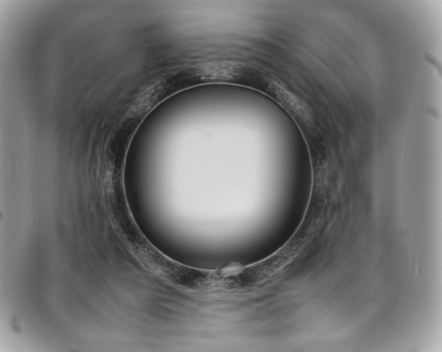 X0000097300209200802151446