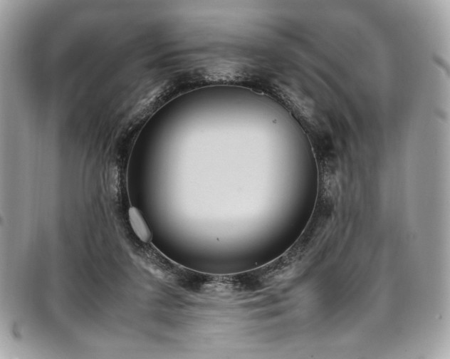 X0000097300211200802151446