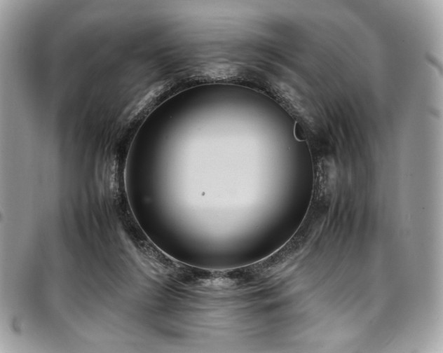 X0000097300212200802151446