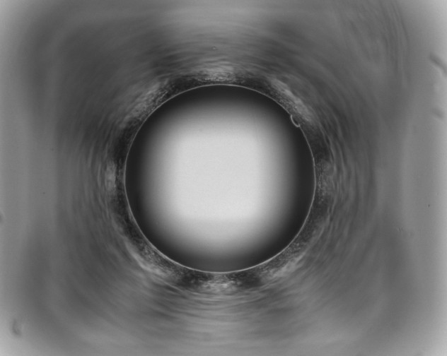 X0000097300213200802151446
