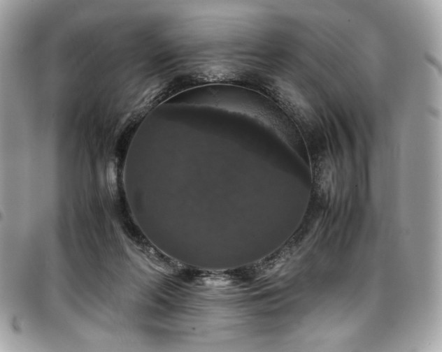 X0000097300214200802151446
