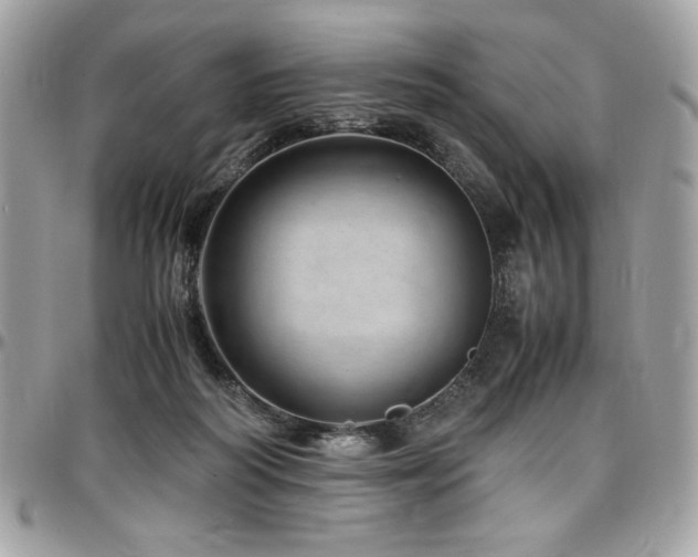 X0000097300218200802151446
