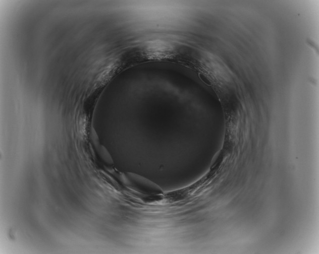 X0000097300219200802151446