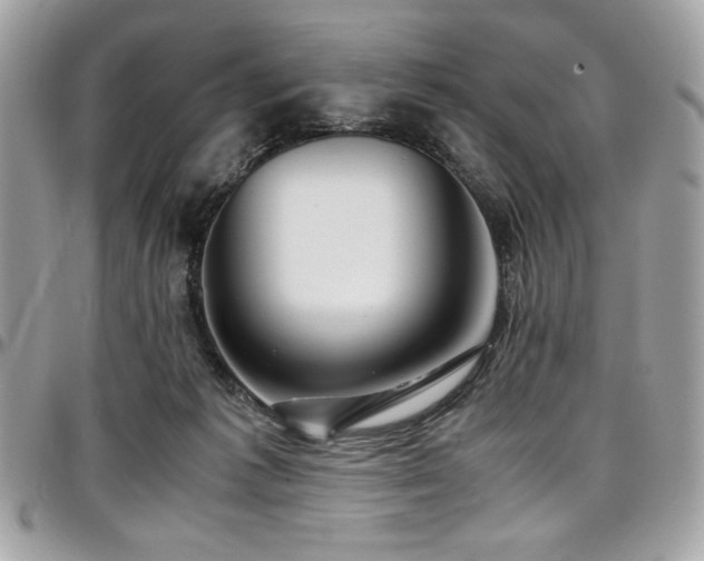 X0000097300221200802151446