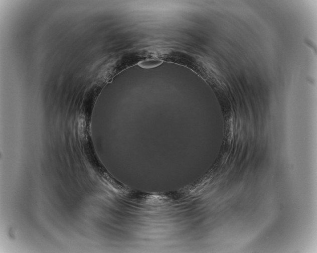 X0000097300222200802151446