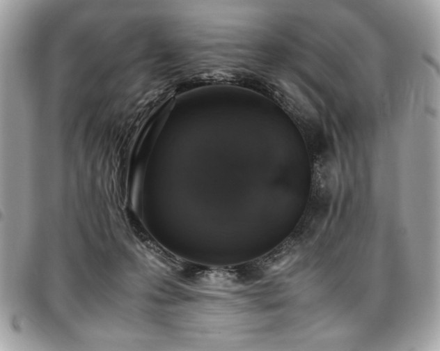 X0000097300223200802151446