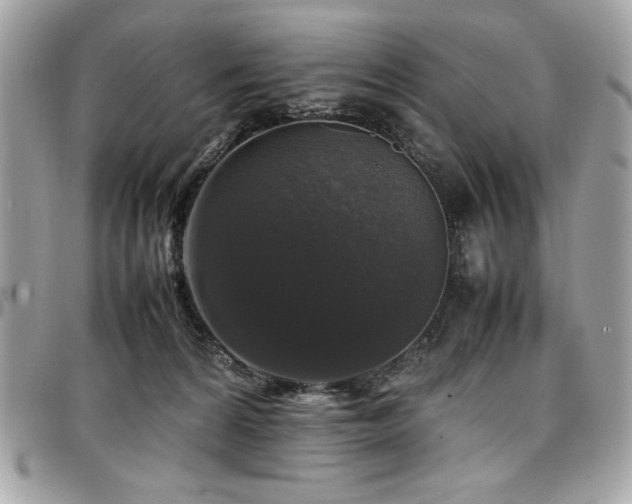 X0000097300224200802151446