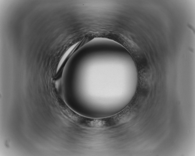 X0000097300225200802151446