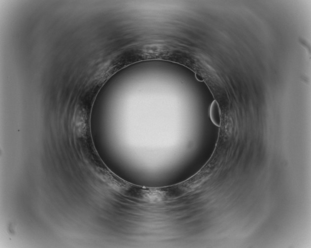 X0000097300226200802151446