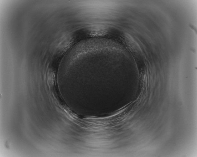 X0000097300227200802151446