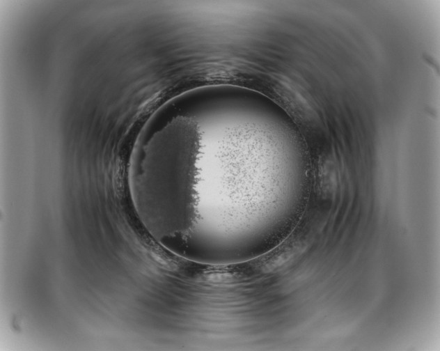 X0000097300228200802151446