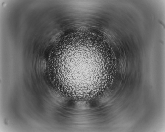 X0000097300230200802151446