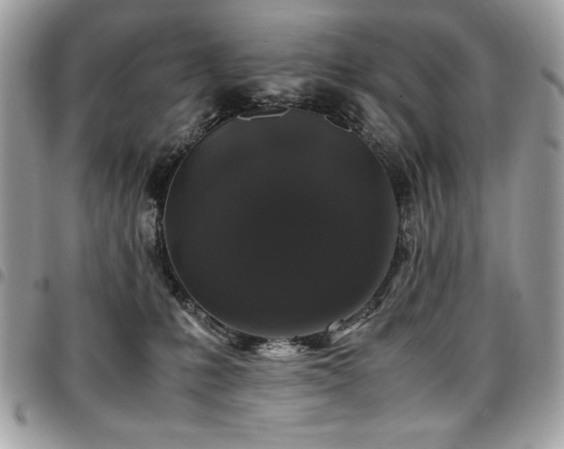 X0000097300231200802151446