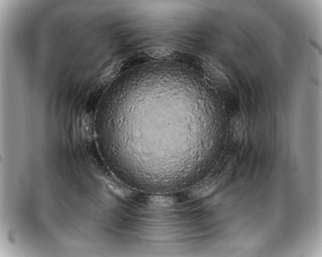 X0000097300234200802151446