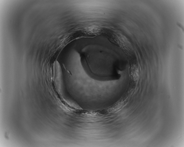 X0000097300235200802151446