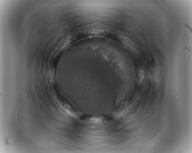 X0000097300236200802151446