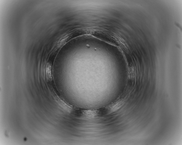 X0000097300238200802151446