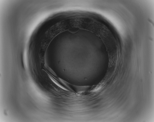 X0000097300239200802151446