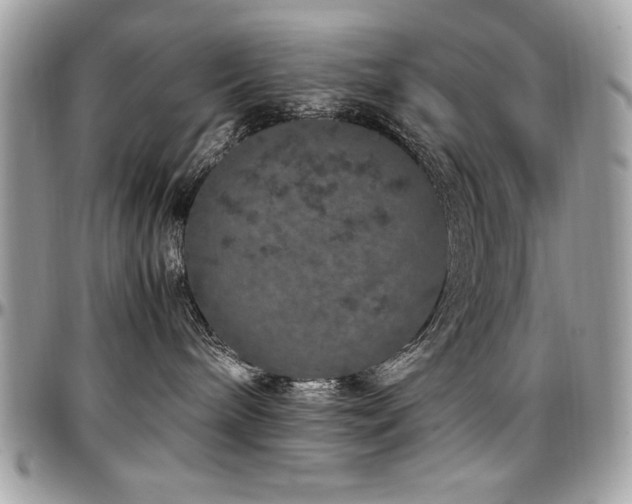 X0000097300240200802151446