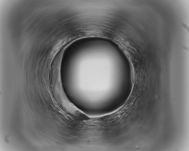 X0000097300241200802151445