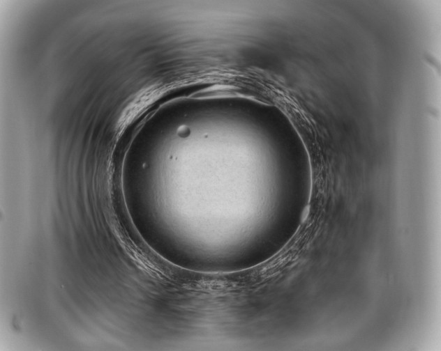 X0000097300242200802151445