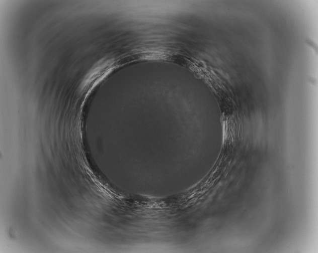 X0000097300243200802151445