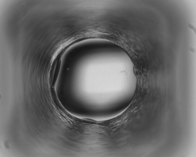 X0000097300244200802151445