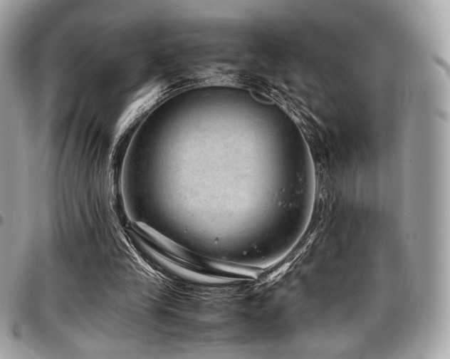 X0000097300245200802151445