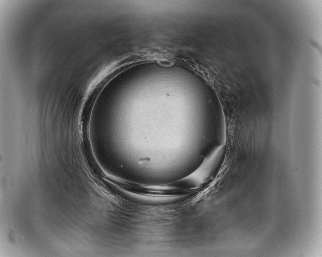 X0000097300246200802151445