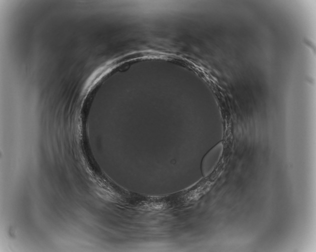 X0000097300247200802151445