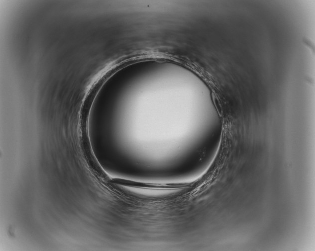 X0000097300248200802151445