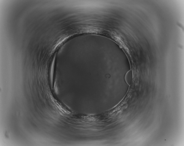 X0000097300249200802151445