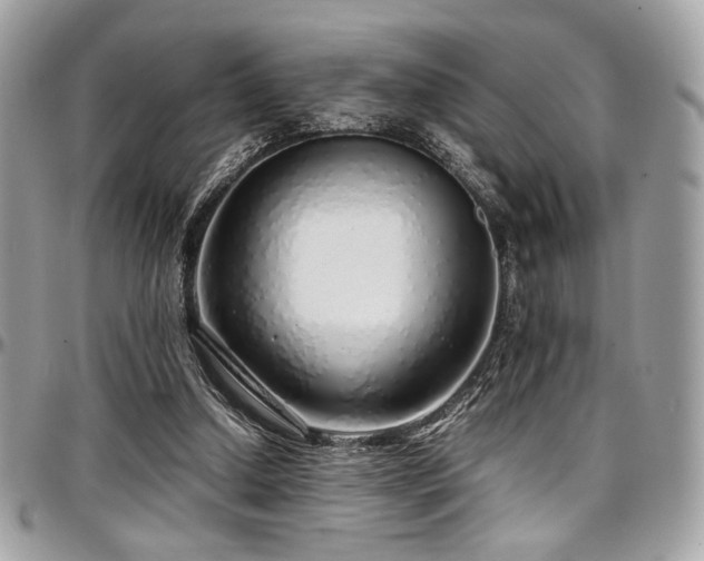 X0000097300250200802151445
