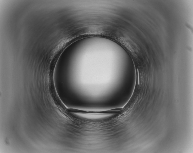 X0000097300252200802151445