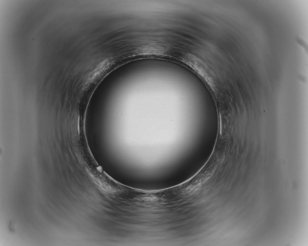 X0000097300253200802151445