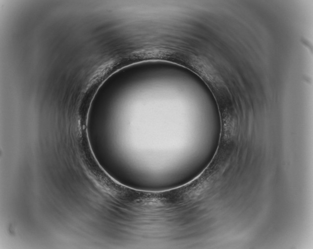 X0000097300254200802151445