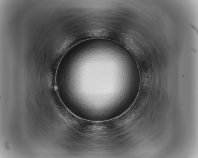 X0000097300255200802151445
